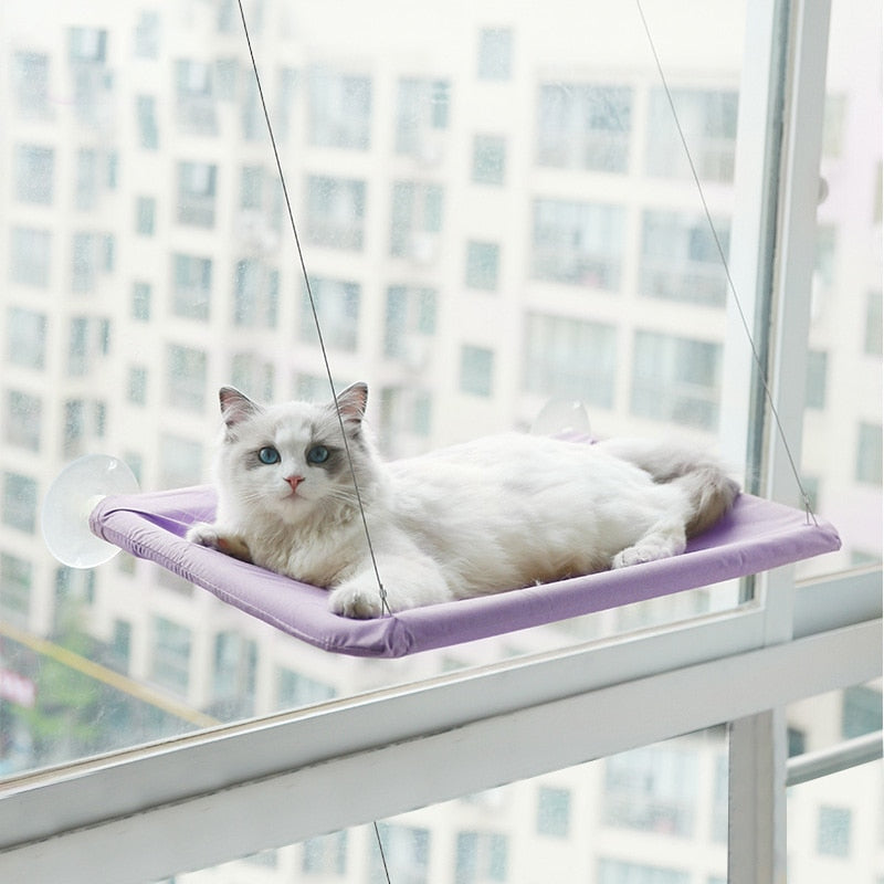Cat Window Hanging Bed