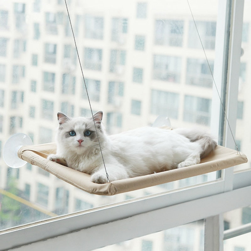 Cat Window Hanging Bed